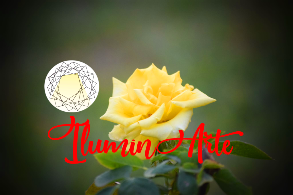 IluminArte Costa Rica Art Exhibition